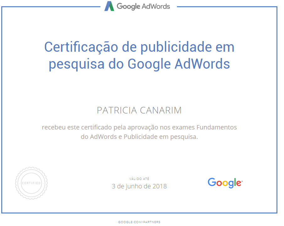 pesquisa google
